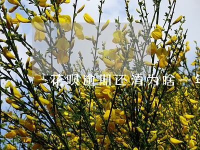 花呗逾期还清为啥一年还不能用