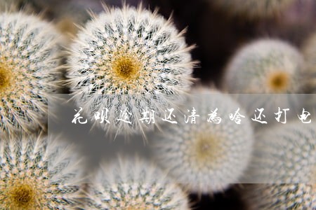 花呗逾期还清为啥还打电话 花呗逾期还清为啥还打电话