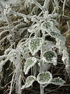 花呗逾期还清之后三天可以用 花呗逾期还清之后三天可以用
