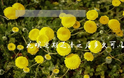 花呗逾期还清之后多久可以使用