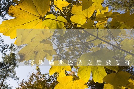 花呗逾期还清之后要怎样解封 花呗逾期还清之后要怎样解封