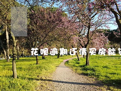 花呗逾期还清买房能贷款吗 花呗逾期还清买房能贷款吗