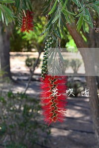 花呗逾期还清了为什么还是冻结 花呗逾期还清了为什么还是冻结