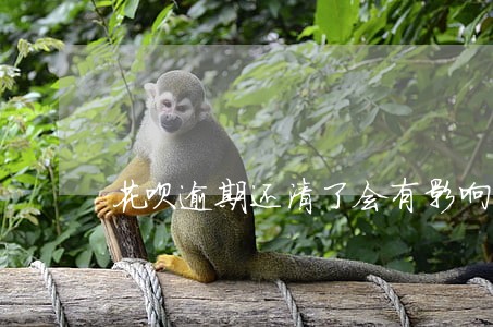 花呗逾期还清了会有影响吗 花呗逾期还清了会有影响吗