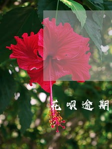 花呗逾期还清了但是被冻结了 花呗逾期还清了但是被冻结了