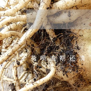 花呗逾期还清了关了还能再开通吗 花呗逾期还清了关了还能再开通吗