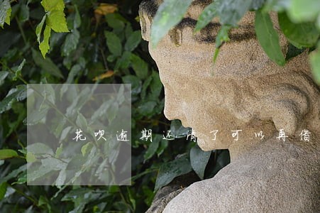 花呗逾期还清了可以再借吗 花呗逾期还清了可以再借吗