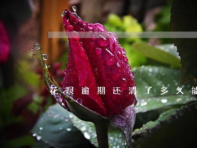 花呗逾期还清了多久能用 花呗逾期还清了多久能用