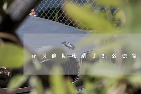 花呗逾期还清了怎么恢复 花呗逾期还清了怎么恢复