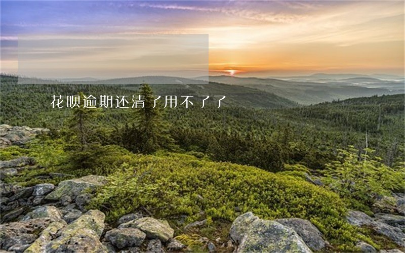 花呗逾期还清了用不了了 花呗逾期还清了用不了了