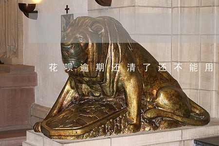 花呗逾期还清了还不能用 花呗逾期还清了还不能用