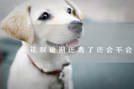 花呗逾期还清了还会不会影响征信 花呗逾期还清了还会不会影响征信