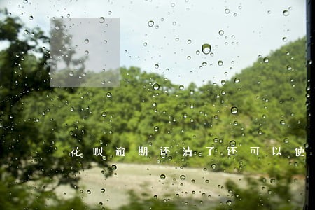 花呗逾期还清了还可以使用吗