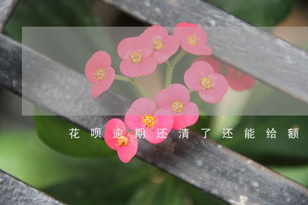 花呗逾期还清了还能给额度吗 花呗逾期还清了还能给额度吗