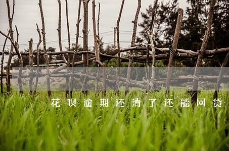花呗逾期还清了还能网贷吗 花呗逾期还清了还能网贷吗