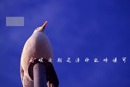 花呗逾期还清什么时候可以用花呗