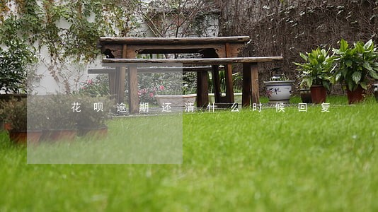 花呗逾期还清什么时候回复 花呗逾期还清什么时候回复