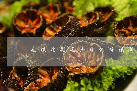 花呗逾期还清什么时候涨额度 花呗逾期还清什么时候涨额度