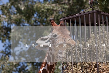 花呗逾期还清以后几天可以用吗 花呗逾期还清以后几天可以用吗