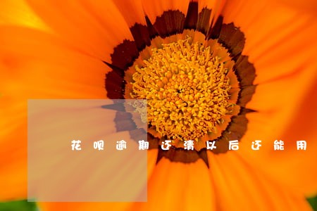 花呗逾期还清以后还能用么 花呗逾期还清以后还能用么