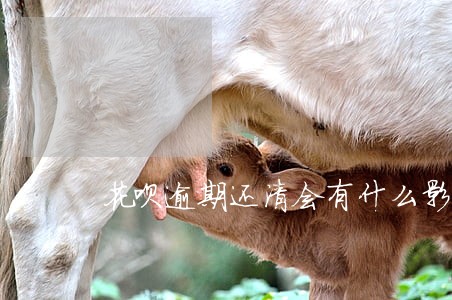 花呗逾期还清会有什么影响 花呗逾期还清会有什么影响