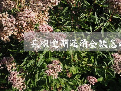 花呗逾期还清全款怎么解封 花呗逾期还清全款怎么解封
