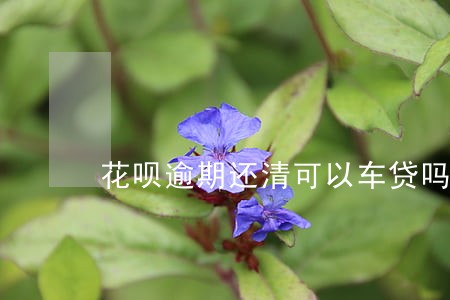 花呗逾期还清可以车贷吗 花呗逾期还清可以车贷吗
