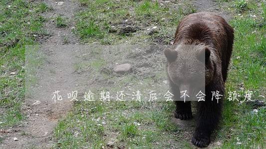 花呗逾期还清后会不会降额度 花呗逾期还清后会不会降额度