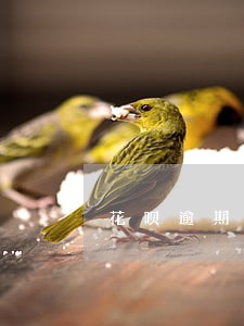 花呗逾期还清后会影响征信 花呗逾期还清后会影响征信