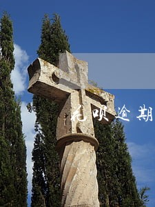 花呗逾期还清后多久能使用乘车码 花呗逾期还清后多久能使用乘车码