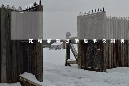 花呗逾期还清后多久能再使用 花呗逾期还清后多久能再使用