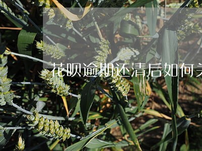 花呗逾期还清后如何关闭 花呗逾期还清后如何关闭