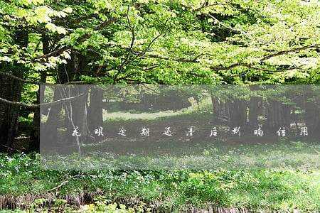 花呗逾期还清后影响信用吗 花呗逾期还清后影响信用吗