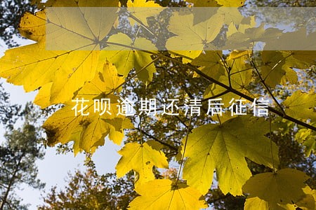 花呗逾期还清后征信 花呗逾期还清后征信