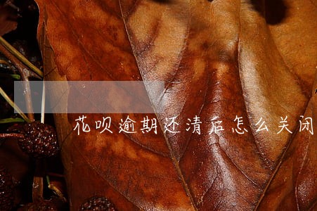 花呗逾期还清后怎么关闭 花呗逾期还清后怎么关闭