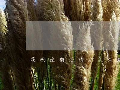 花呗逾期还清后怎么处理 花呗逾期还清后怎么处理