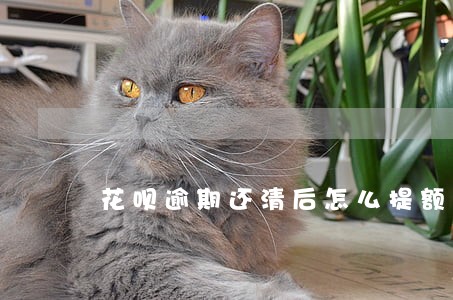 花呗逾期还清后怎么提额 花呗逾期还清后怎么提额