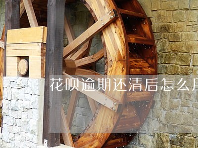 花呗逾期还清后怎么用
