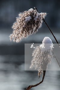花呗逾期还清后怎么看账单 花呗逾期还清后怎么看账单