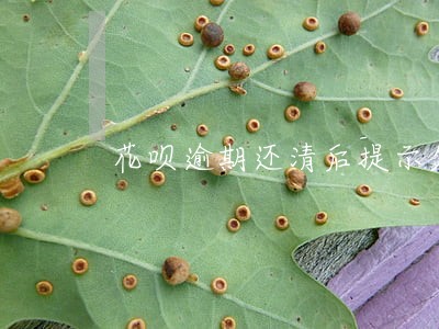 花呗逾期还清后提示欠费 花呗逾期还清后提示欠费