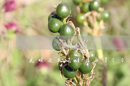 花呗逾期还清后涨了100分 花呗逾期还清后涨了100分