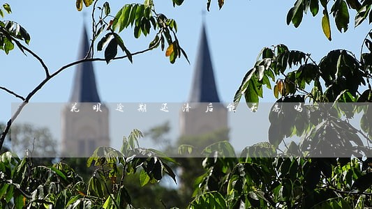 花呗逾期还清后能买房吗 花呗逾期还清后能买房吗