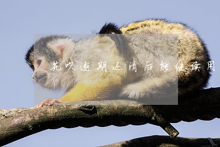 花呗逾期还清后能继续用花呗吗 花呗逾期还清后能继续用花呗吗