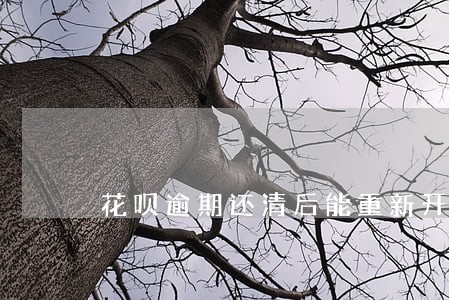 花呗逾期还清后能重新开通吗 花呗逾期还清后能重新开通吗