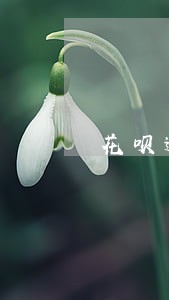 花呗逾期还清后还有图标