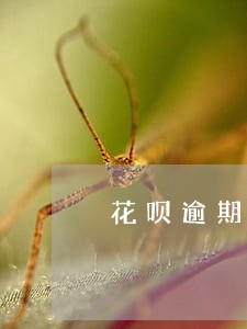 花呗逾期还清后重开还能提额吗 花呗逾期还清后重开还能提额吗
