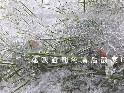 花呗逾期还清后额度还会涨吗 花呗逾期还清后额度还会涨吗