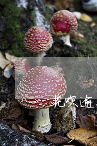 花呗逾期还清图片 花呗逾期还清图片