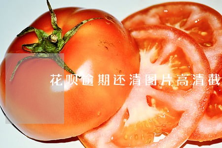 花呗逾期还清图片高清截图 花呗逾期还清图片高清截图