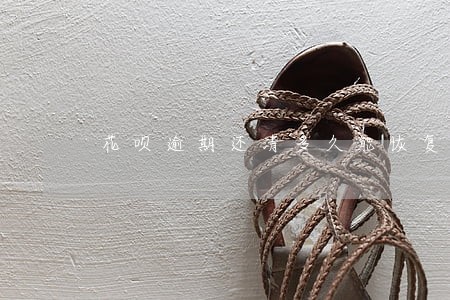 花呗逾期还清多久能恢复 花呗逾期还清多久能恢复